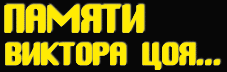 Zagadka Victora Tsoja